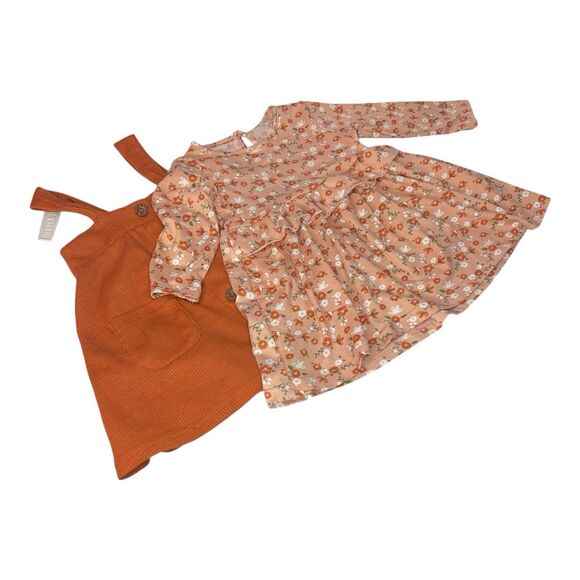 Just Lizzy Autumn Fall Dresses – Lot of 2 – Size 12 Months - Picture 2 of 14